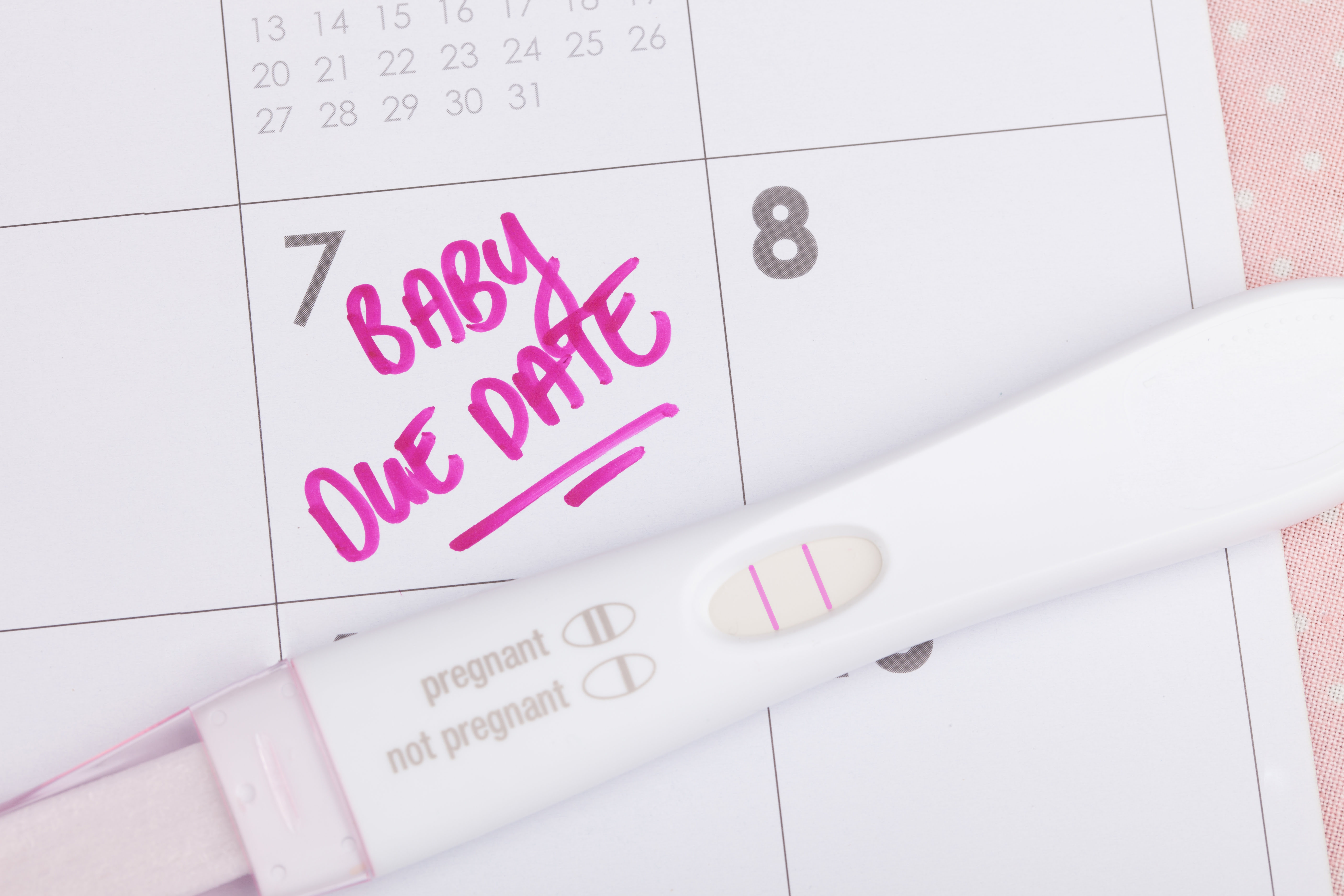 Due date pregnancy calculator showing baby growth timeline