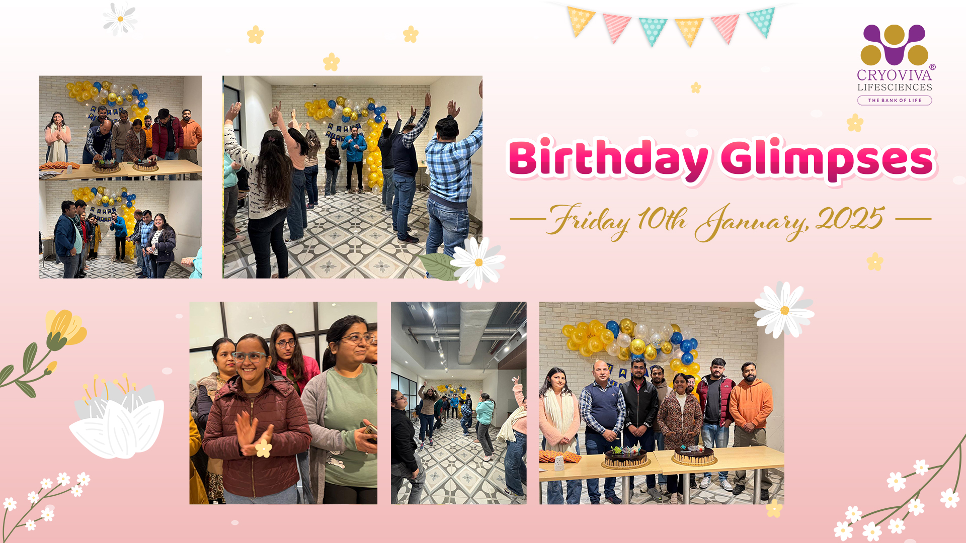 cryoviva birthday glimps